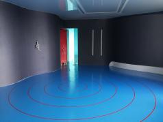 blue red circles decorative epoxy floor